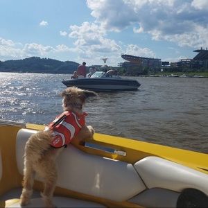 Meet your Posher, Kara